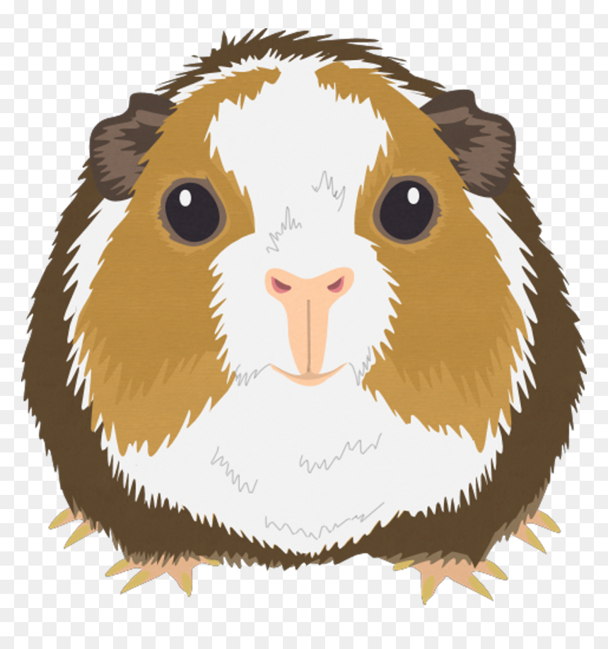 South Park Archives - South Park Guinea Pig, HD Png Download - stripe png