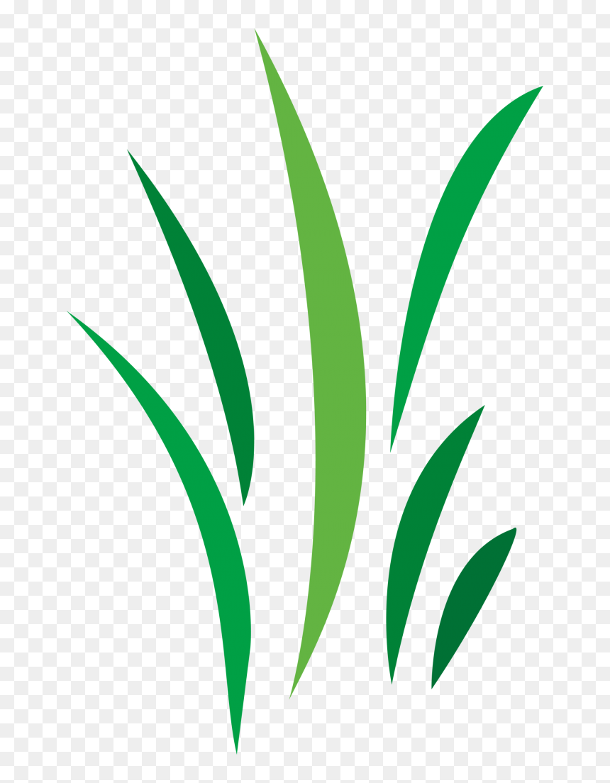 Free Cool Vector Designs Png, Transparent Png - grass vector png