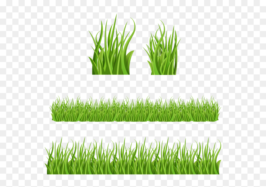 Gras Zeichentrick, HD Png Download - grass vector png
