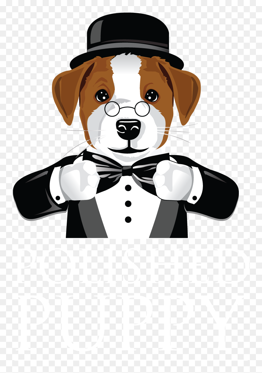 Polished Puppy Helping Puppies Reach Their Full Potential - Beaglier, HD Png Download - puppies png