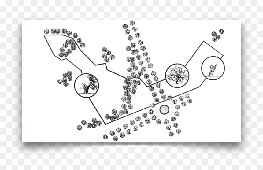 Hand Drawn Circle - Drawing, HD Png Download - drawn circle png