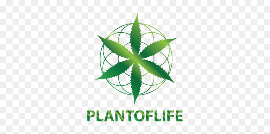 Plant Of Life Logo, HD Png Download - comment png