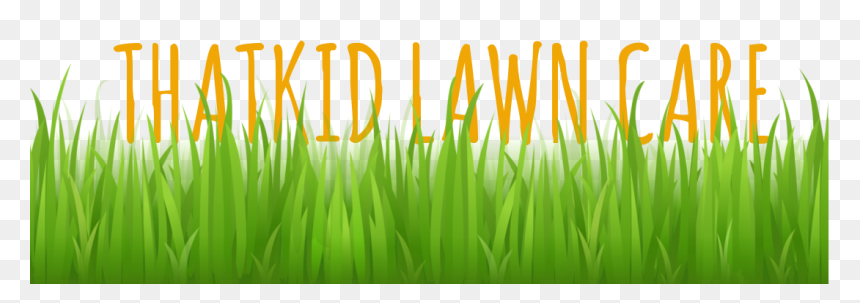 Lawn Mowing - Trimming - Watering - Edging - Thatching - Grass Vector Free, HD Png Download - grass vector png