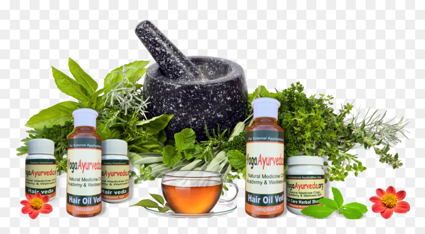Mortar Pestle Herbs Png, Transparent Png - medicine png