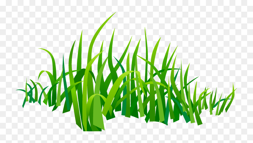Png, Hd Png Download - หญ้า น่า รัก ๆ, Transparent Png - grass vector png