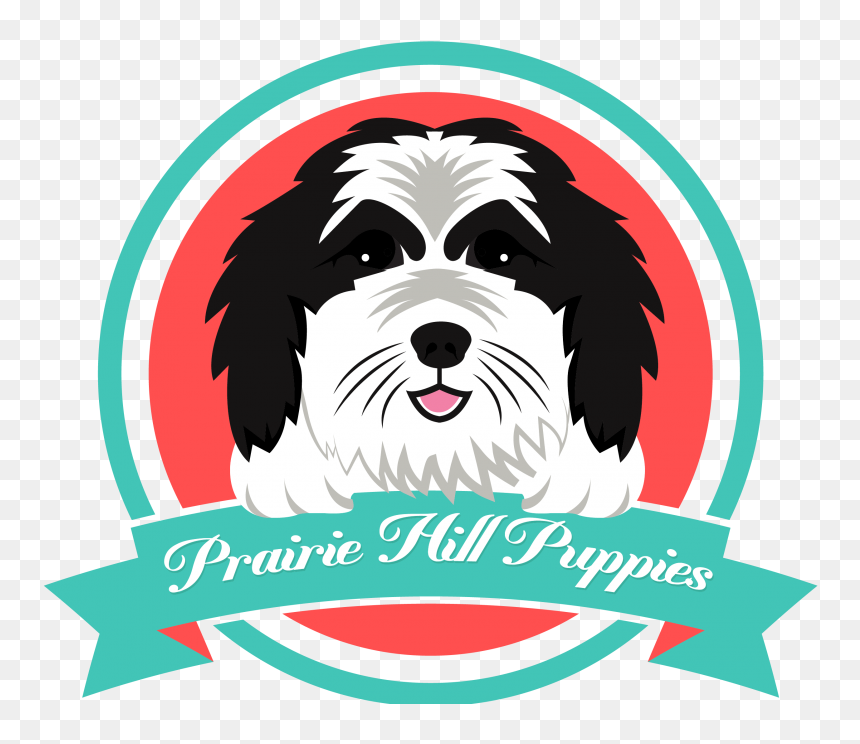 Tibetan Terrier, HD Png Download - puppies png