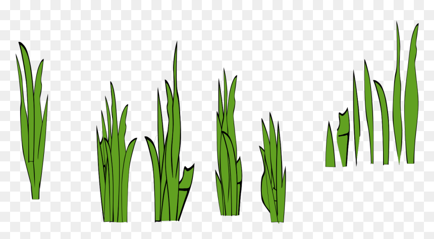 Grass Clip Art, HD Png Download - grass vector png