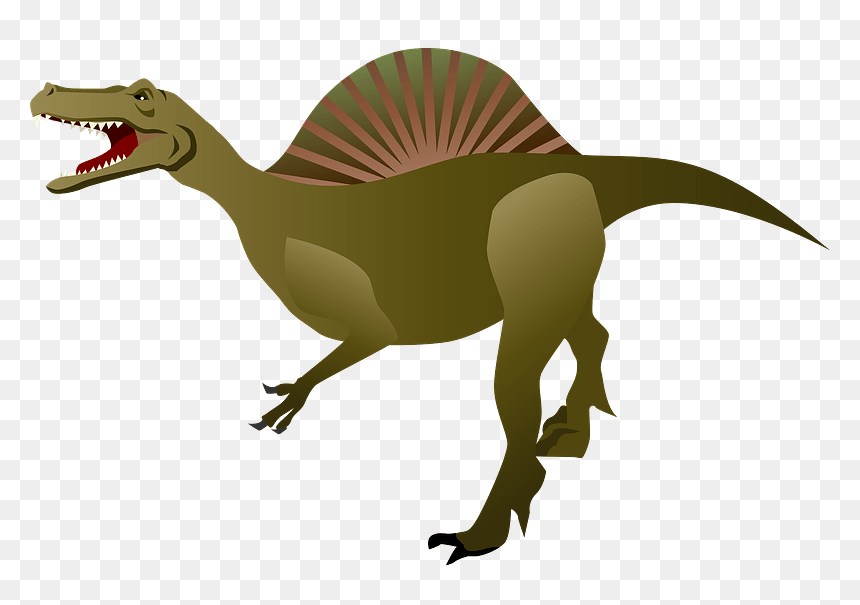 Spinosaurus Clipart, HD Png Download - dinosaur clipart png
