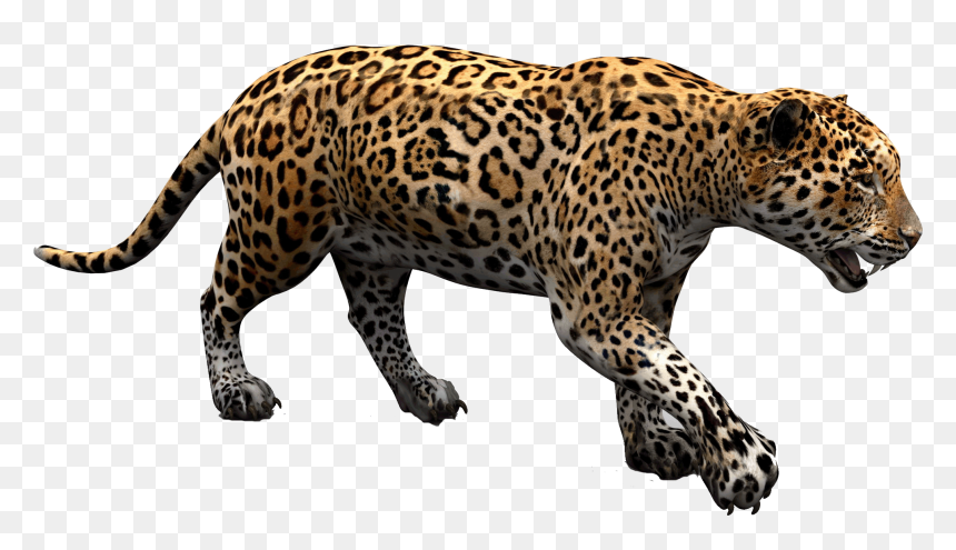 Jaguar Png, Transparent Png - jaguar png