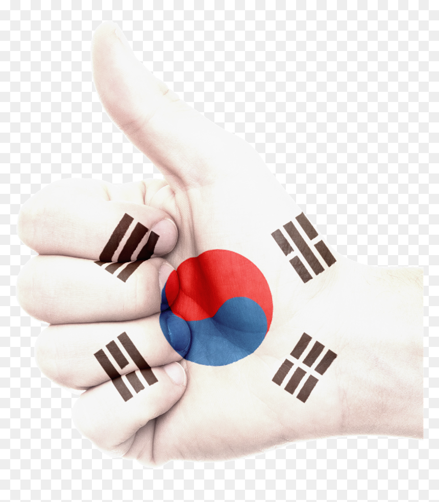 Hand South Korea Flag National Png Image - South Korea Flag, Transparent Png - korean flag png