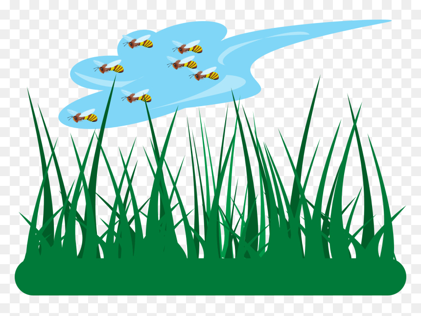 Jardin Dibujo Png, Transparent Png - grass vector png