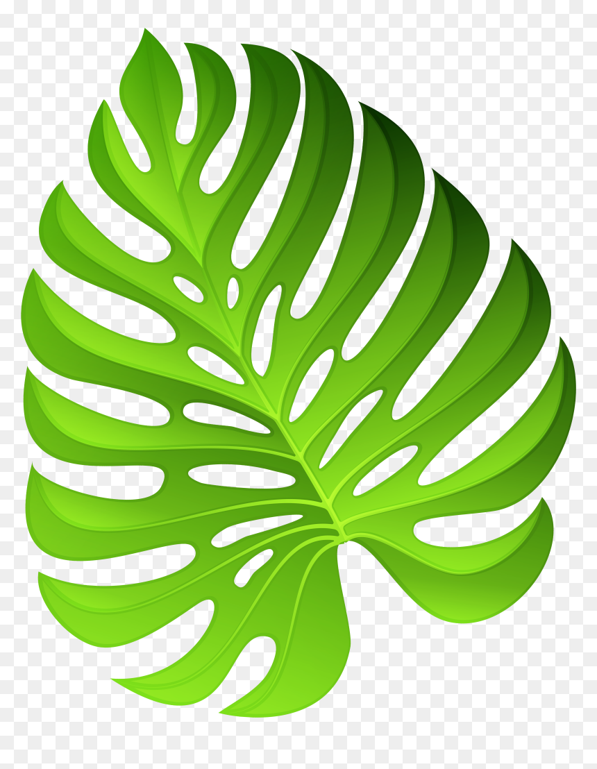 Plant Leaf Clipart Png, Transparent Png - leaf clipart png