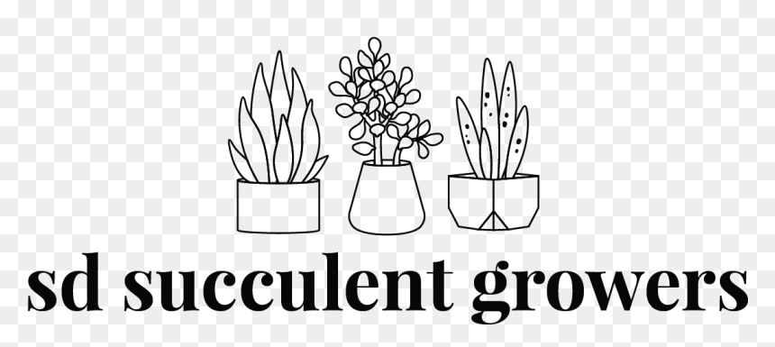 Flowerpot, HD Png Download - succulents png