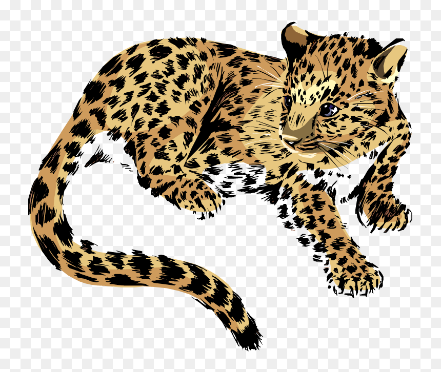 Clouded Leopard Clip Art, HD Png Download - jaguar png