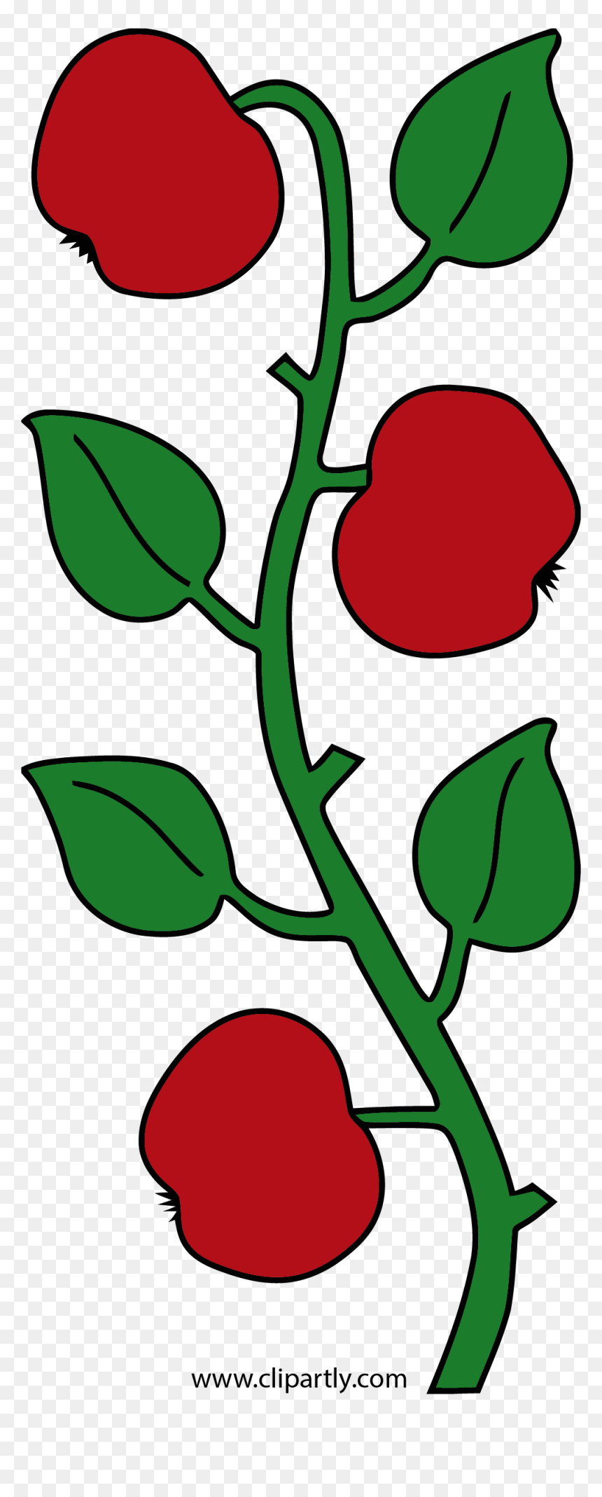 Apple Green Leaf Clipart Png - Affoltern Am Albis, Transparent Png - leaf clipart png