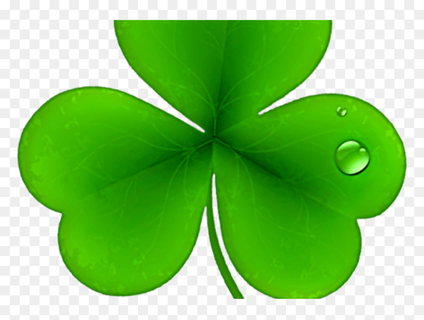 Transparent Shamrock Png - Shamrock Saint Patrick Day Clip Art, Png Download - st patrick's day png