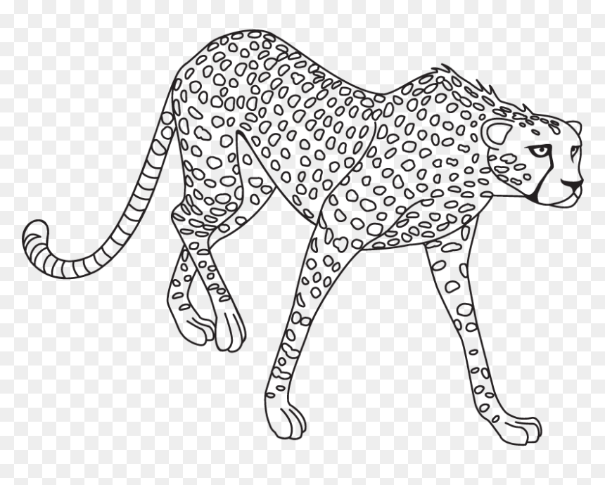 Jaguar Png Clipart - Lion Tiger Cheetah Sketch, Transparent Png - jaguar png