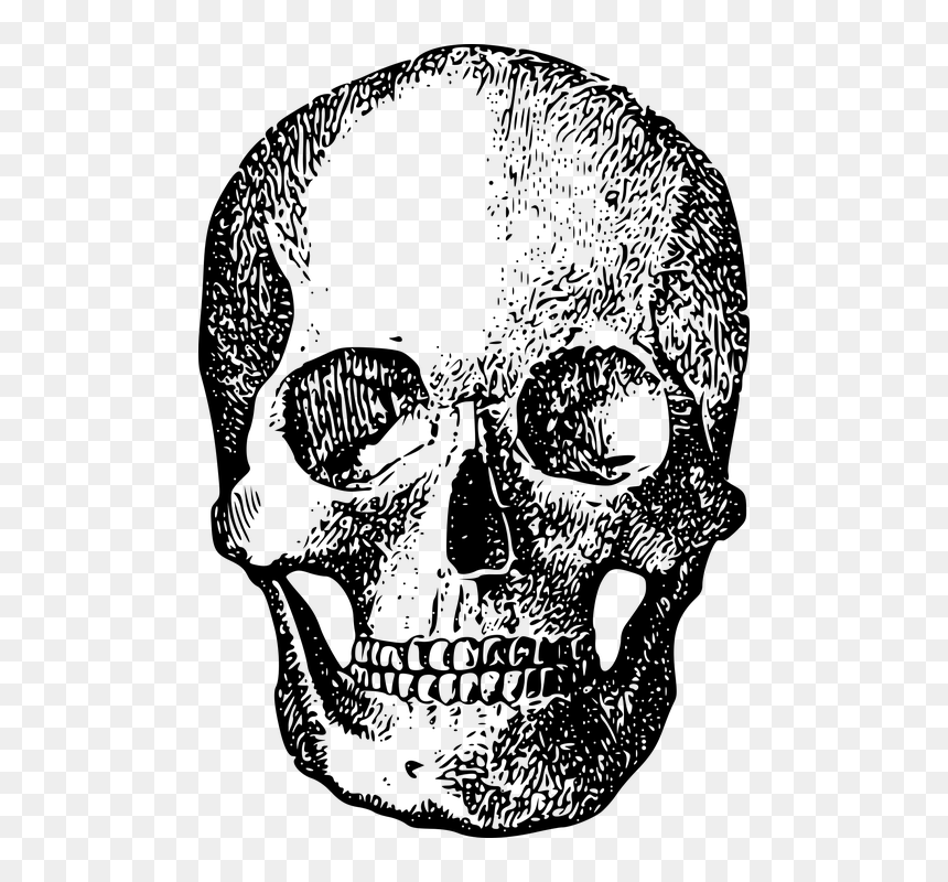 Black Skull Ftestickers - Dead Words High School, HD Png Download - black skull png