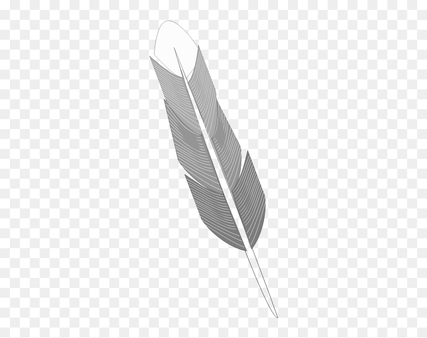 Drawing Of Grey Feather - Grayscale Feather, HD Png Download - quill png