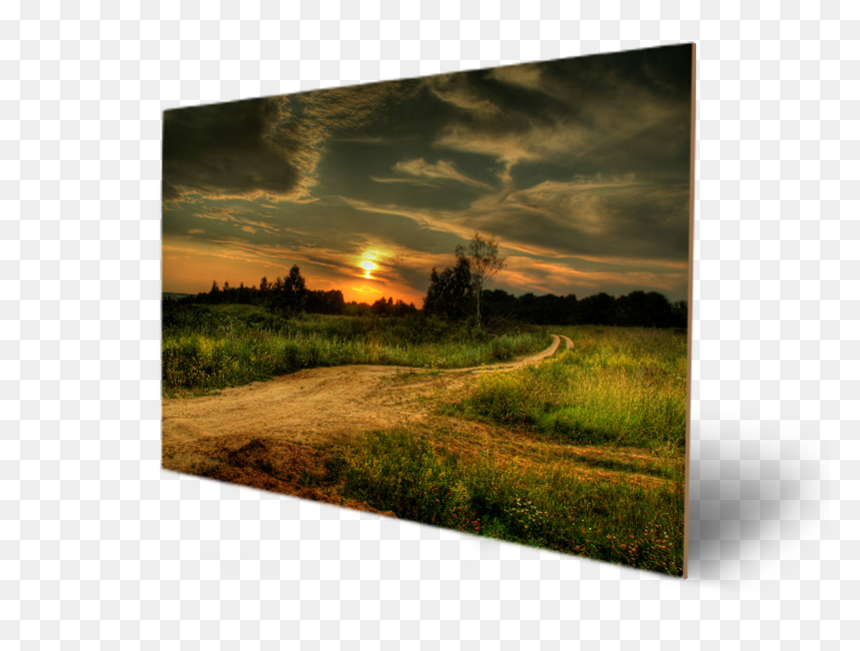 Transparent Forest Trees Png - Sunset Country Road Pictures Free, Png Download - forest trees png