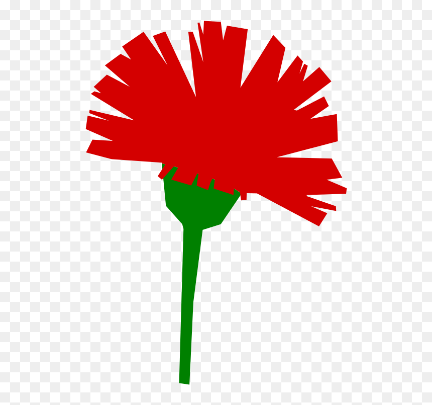 Carnation - International Workers Day Png, Transparent Png - carnation png