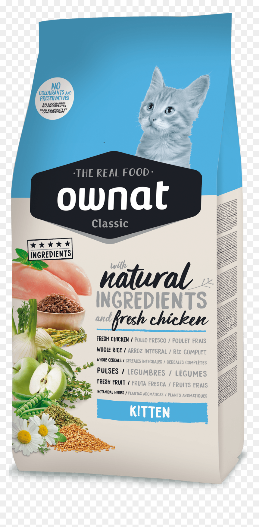 Pienso Natural Gatos Esterilizados, HD Png Download - kittens png