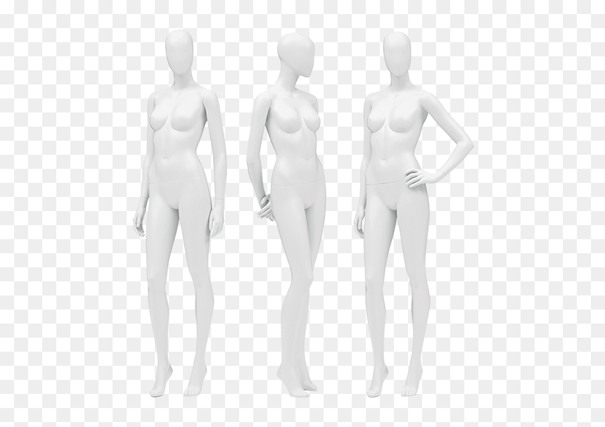 And Bust Form Hire - Mannequin, HD Png Download - mannequin png