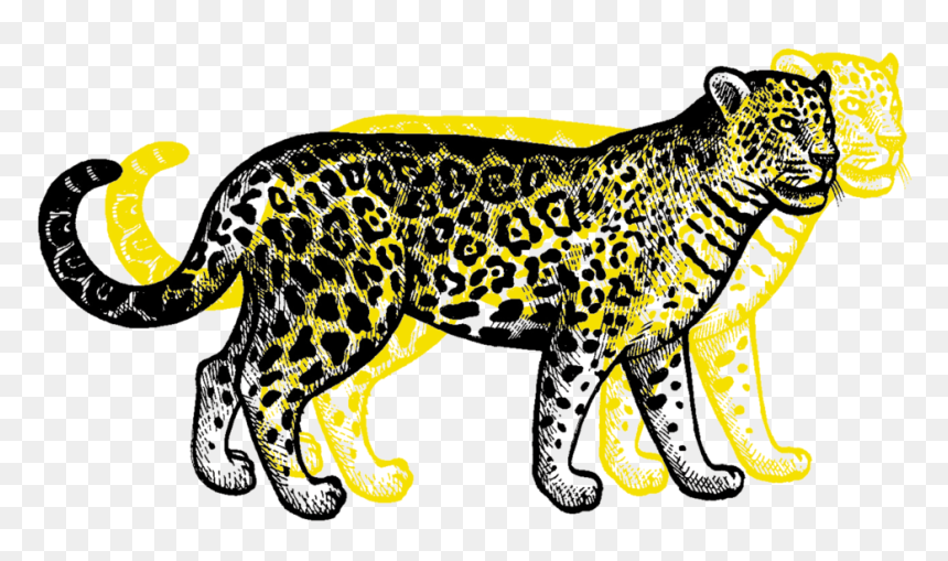 Clouded Leopard , Png Download - Leopard Transparent, Png Download - jaguar png