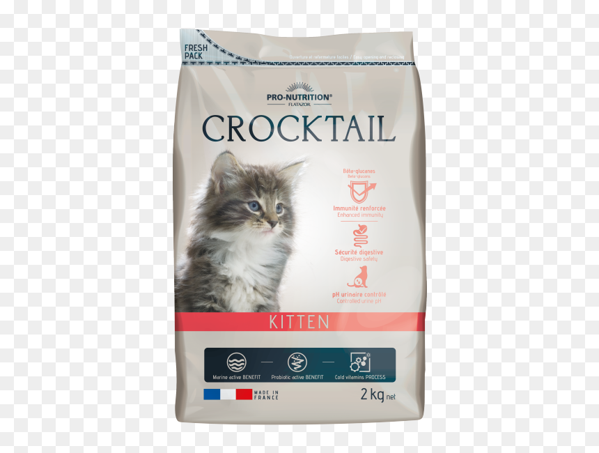 Kitten - Храна За Малки Котки, HD Png Download - kittens png