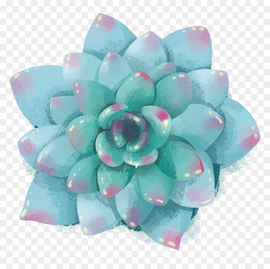7 - Echeveria, HD Png Download - succulents png