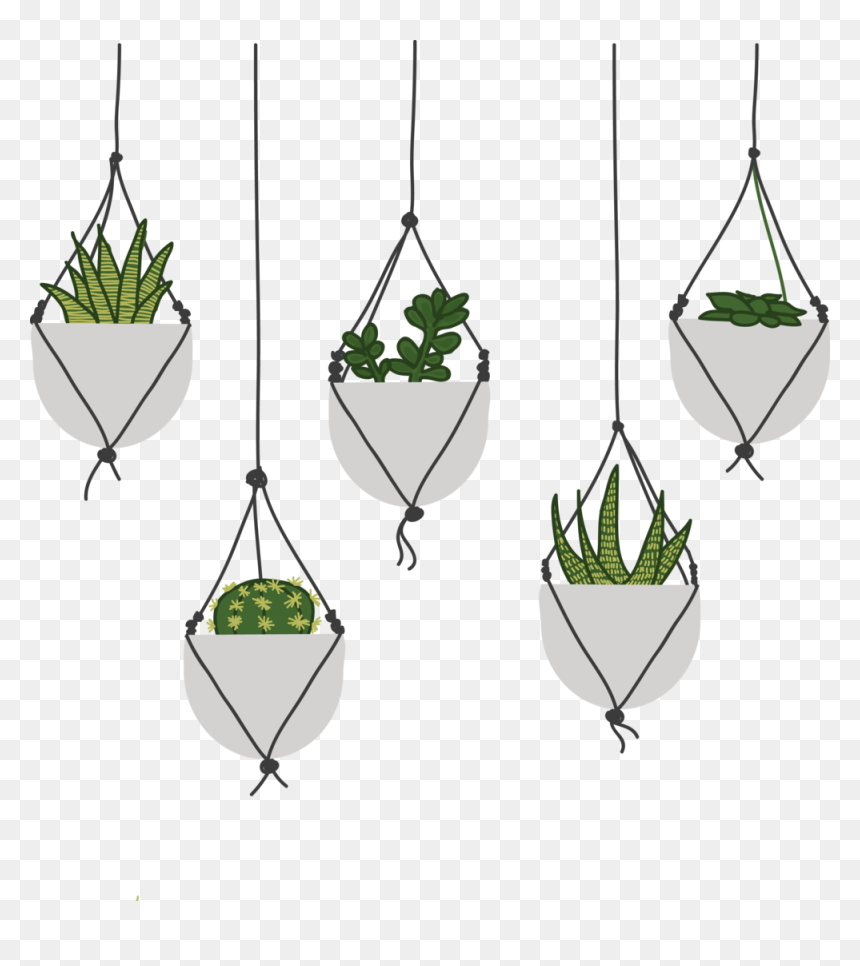 Succulents, HD Png Download - succulents png