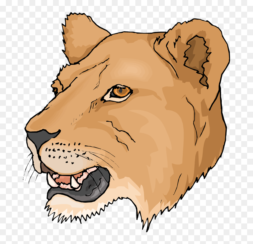 S - - Pictures V - 2 - 0 Png - - Head Female Lion Logo, Transparent Png - cubs png