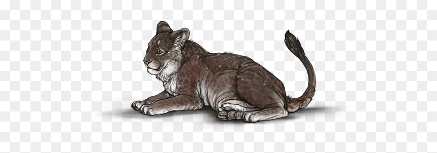 03jumcz - Domestic Short-haired Cat, HD Png Download - cubs png