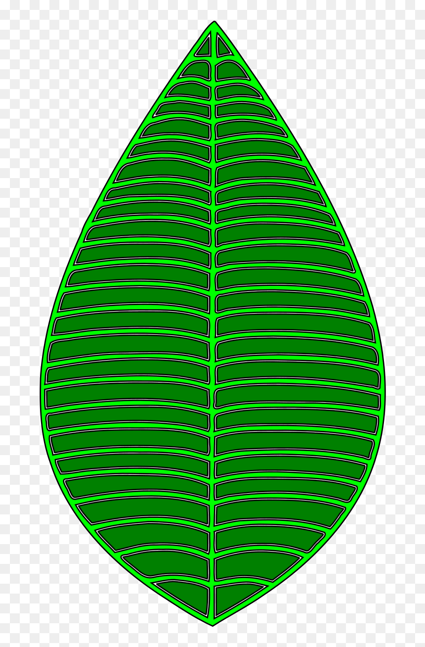 Green Leaf Svg Clip Arts - Illustration, HD Png Download - green leaf png
