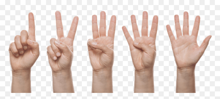 Get Finger Load20180523 Masha Point - Finger Counting Png, Transparent Png - finger point png