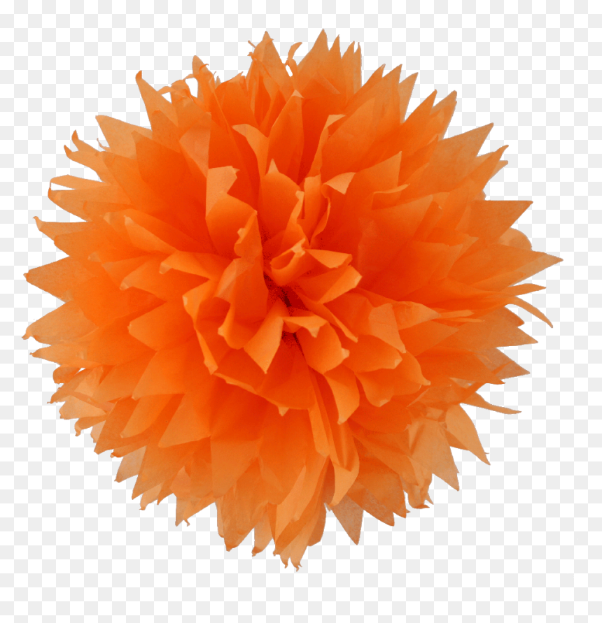 Orange Pom Pom Png , Png Download - Orange Pom Pom Png, Transparent Png - pom pom png