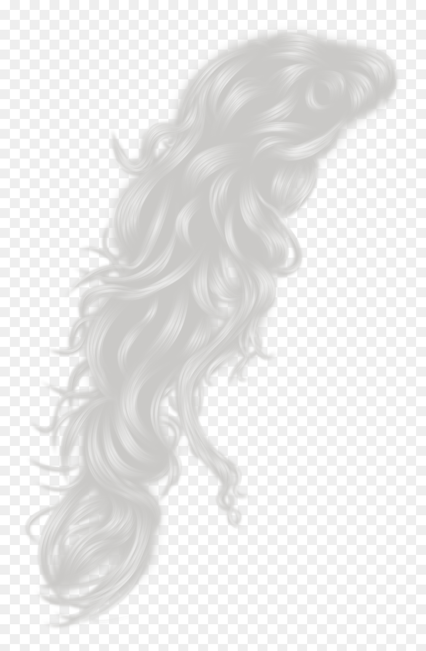 Silver Hair Png Clipart Library Download - Silver Hair Clipart, Transparent Png - black hair png