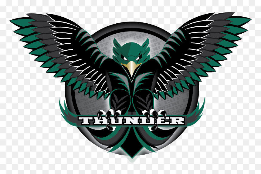 School Logo - Woodstock North High School Logo, HD Png Download - thunder logo png
