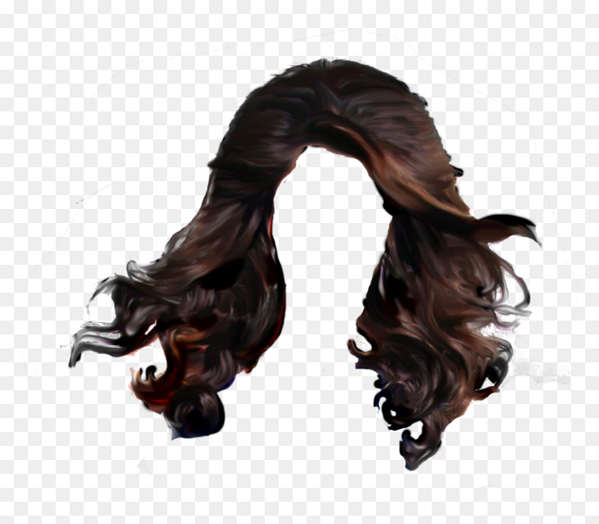 Hair Png Pic - Long Guy Hair Wig, Transparent Png - black hair png