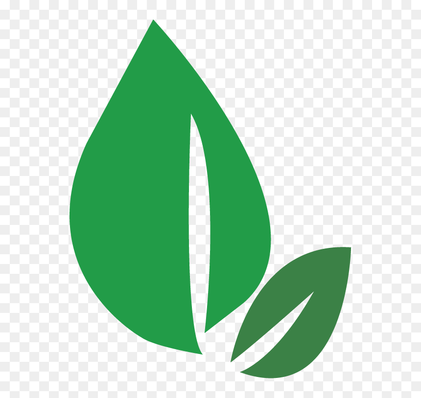 Green Leaf Clipart Png, Transparent Png - green leaf png