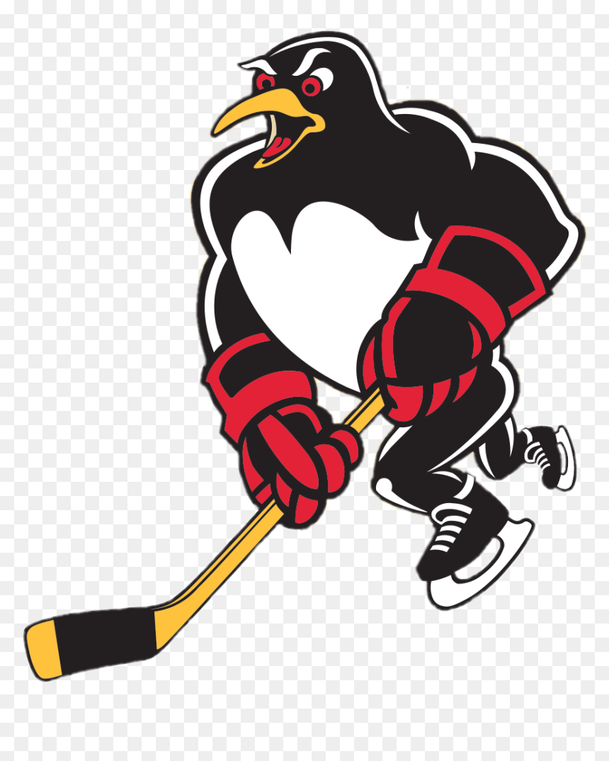 Wilkes Barre Scranton Mascotte - Wbs Penguins, HD Png Download - hockey stick png