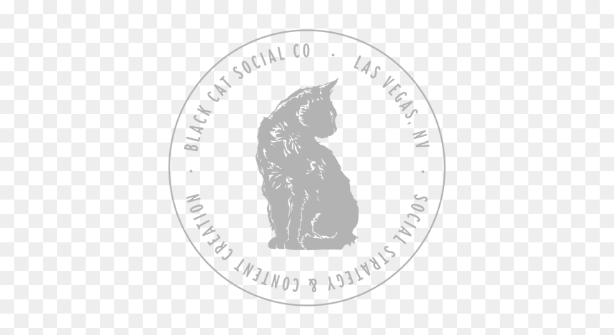 Logo Lockup Circle Cat Border - Squitten, HD Png Download - scroll border png