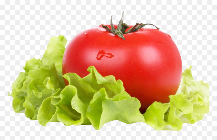 Vegetable Green Leaves Png Transparent Background - Tomato Lettuce, Png Download - vegetable png