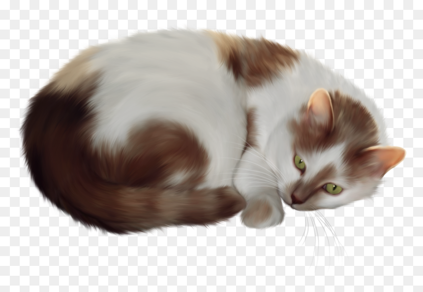 Transparent Cat Clipart - Cat Transparent Clip Art, HD Png Download - cat png transparent