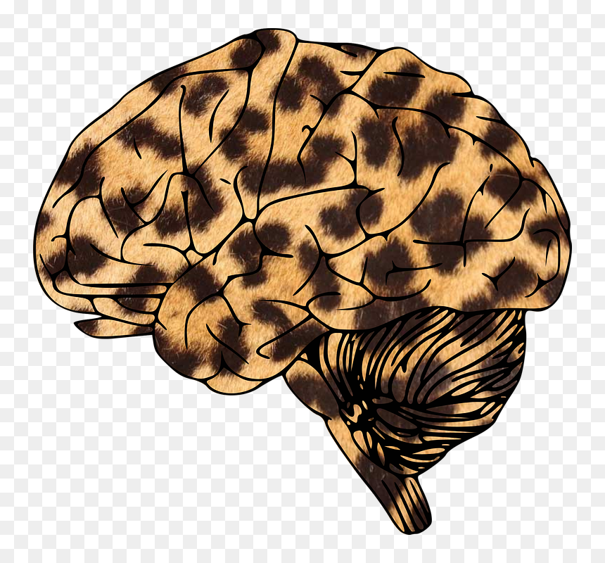 Leopard Print Tote Bag Uk, HD Png Download - leopard print png