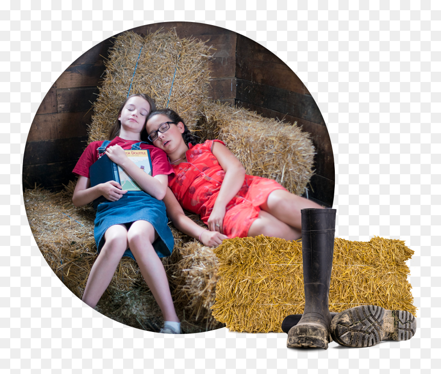 Two Girls Napping On Bales Of Hay - Hay, HD Png Download - hay png