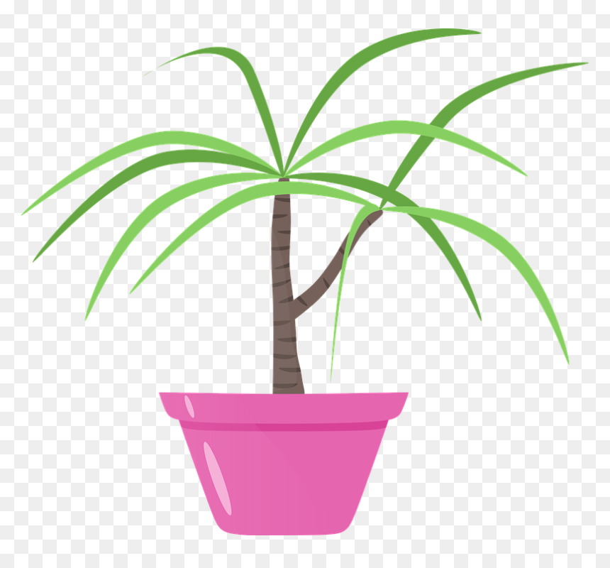 Flores En Follaje De Decoracion Png, Transparent Png - flower pot png