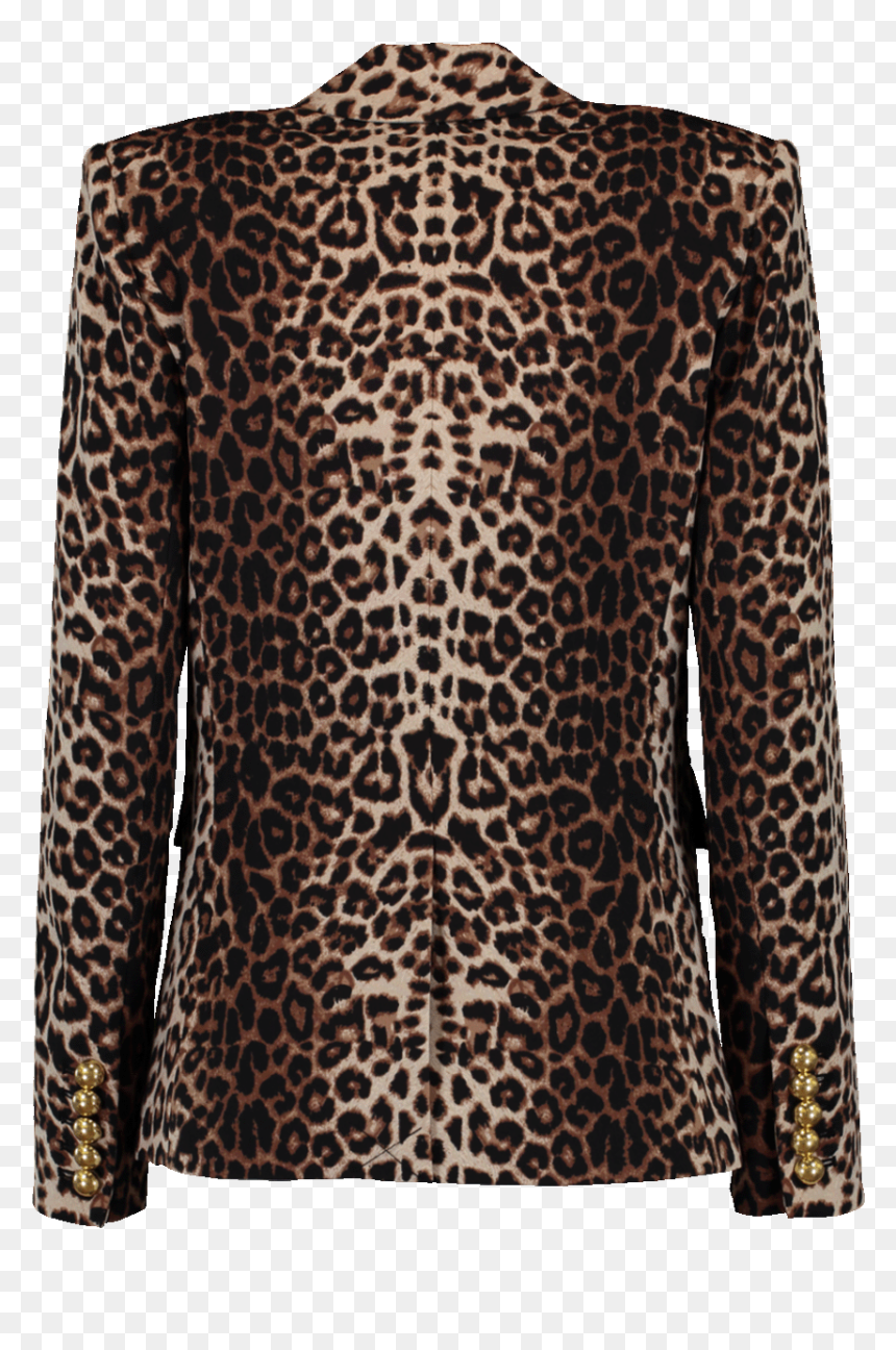 Blouse, HD Png Download - leopard print png
