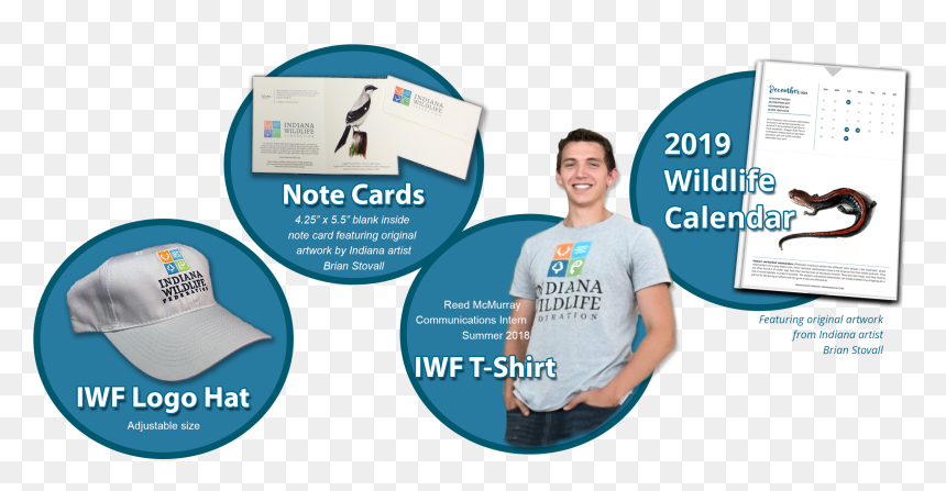 Presentation Slide , Png Download - Flyer, Transparent Png - swag glasses png