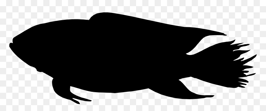 Fish Silhouette , Png Download, Transparent Png - fish silhouette png